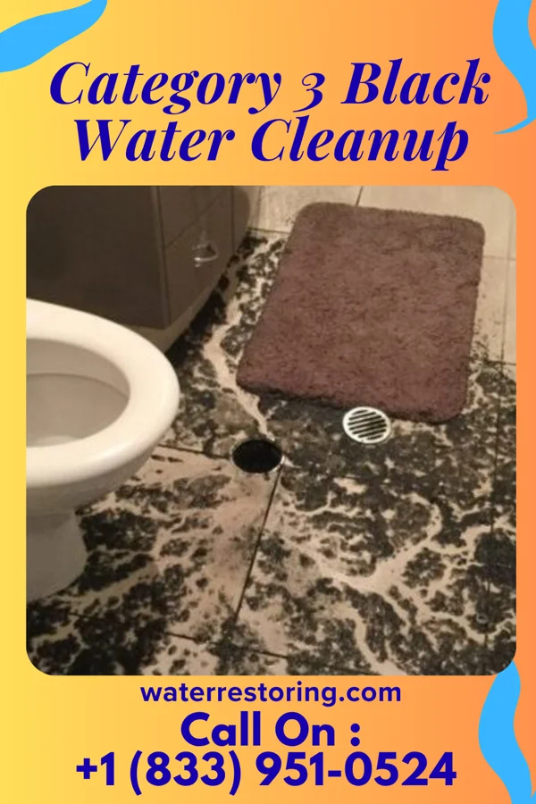 Category 3 Black Water Cleanup in Sutherland, NE