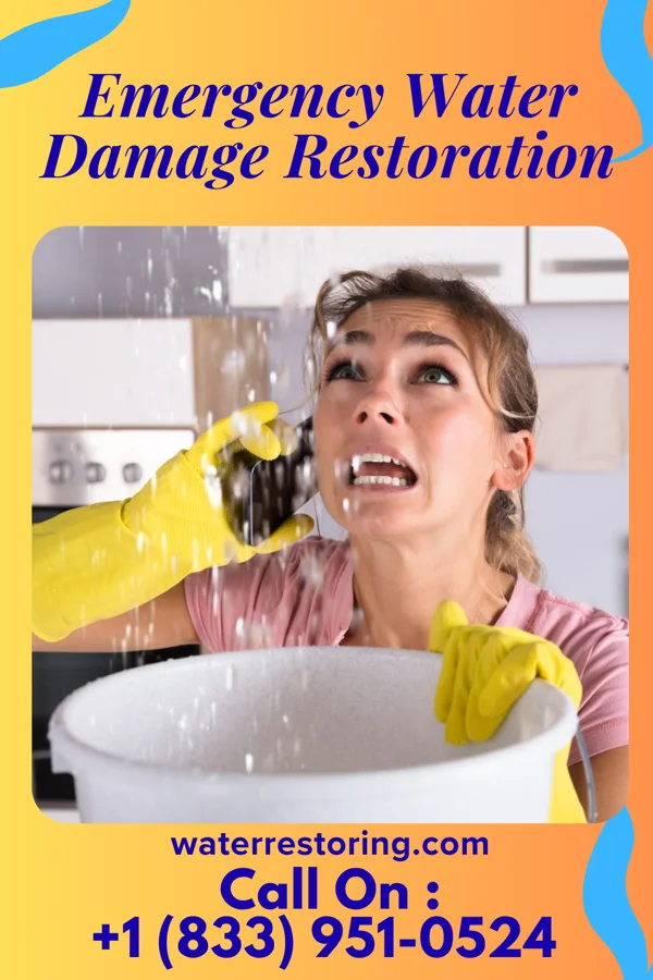 Emergency Water Damage Restoration in Sutherland, NE